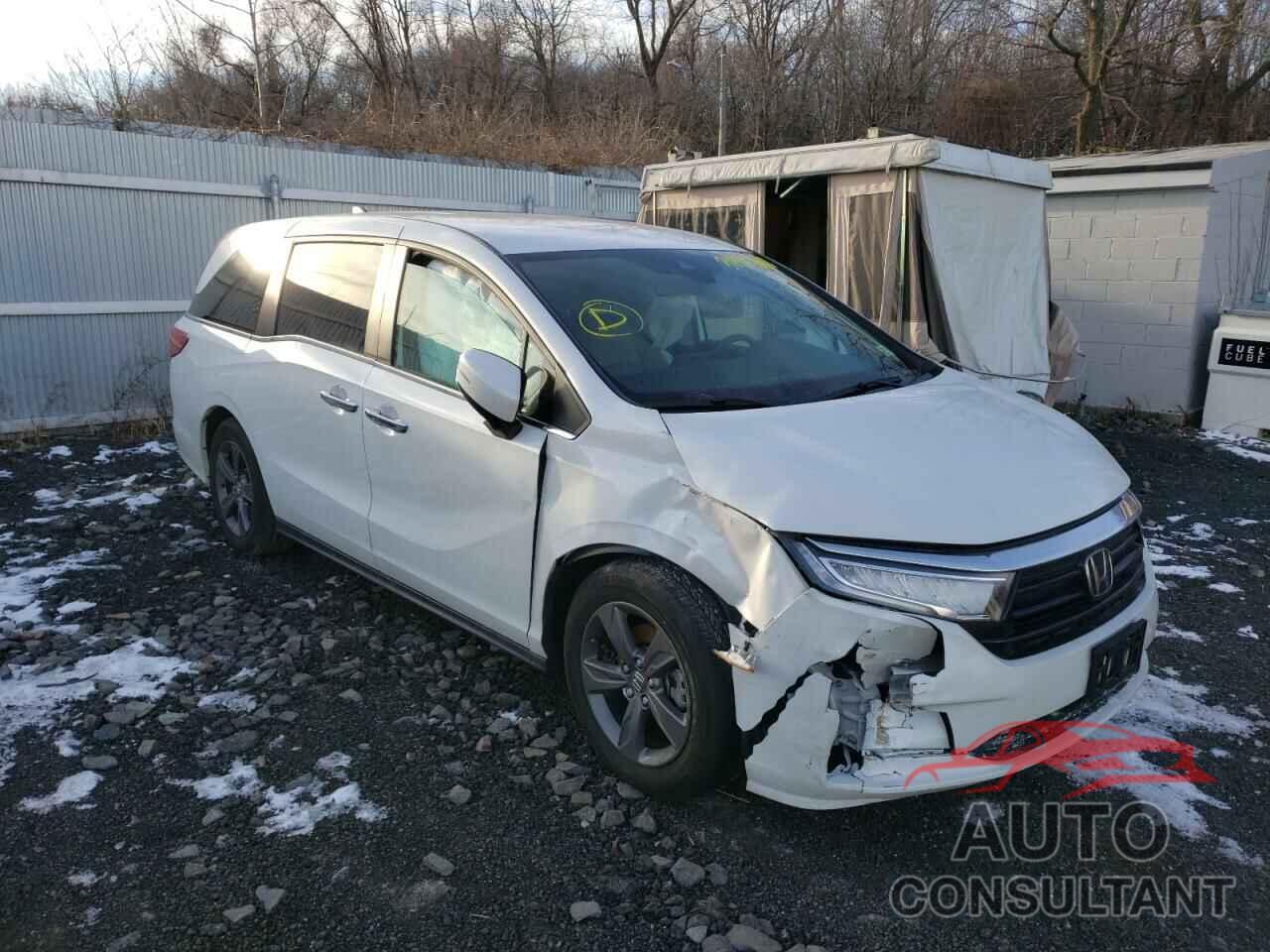 HONDA ODYSSEY 2021 - 5FNRL6H55MB013674