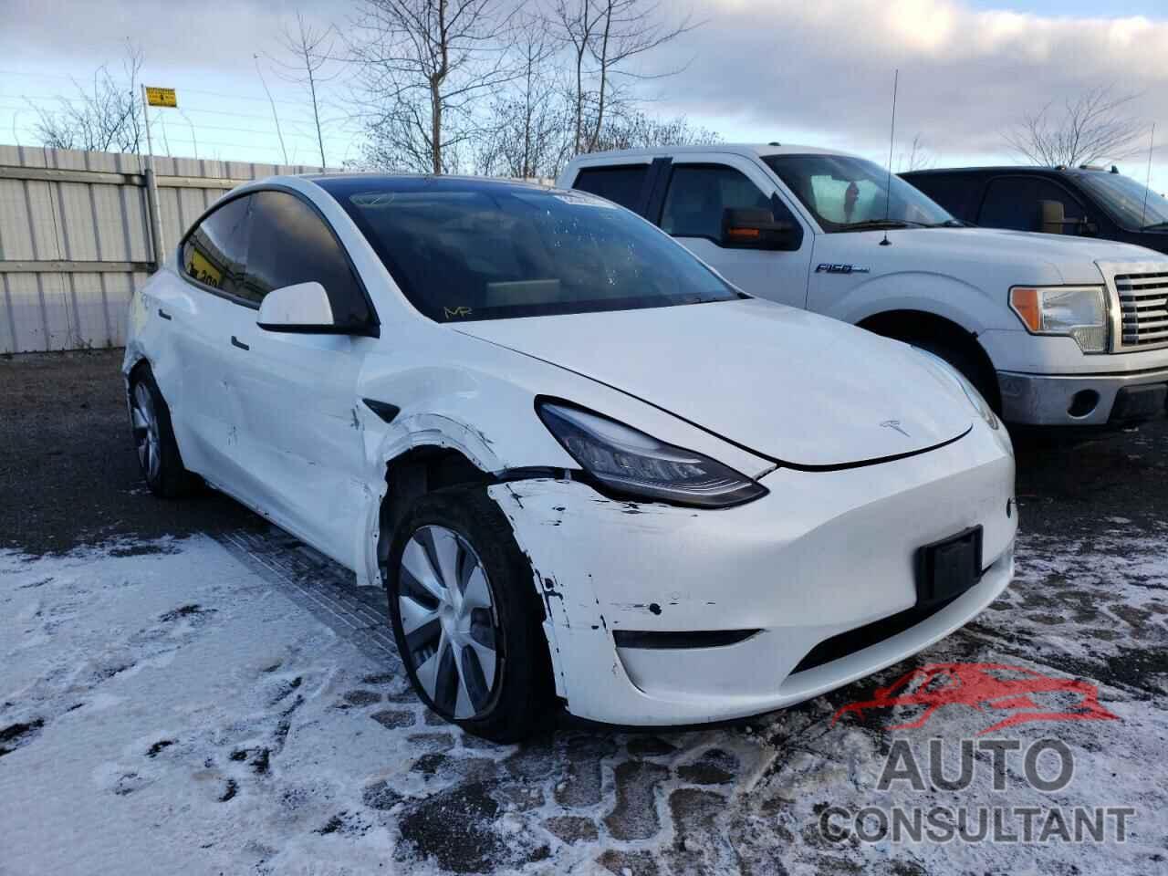 TESLA MODEL Y 2021 - 5YJYGDED7MF119589