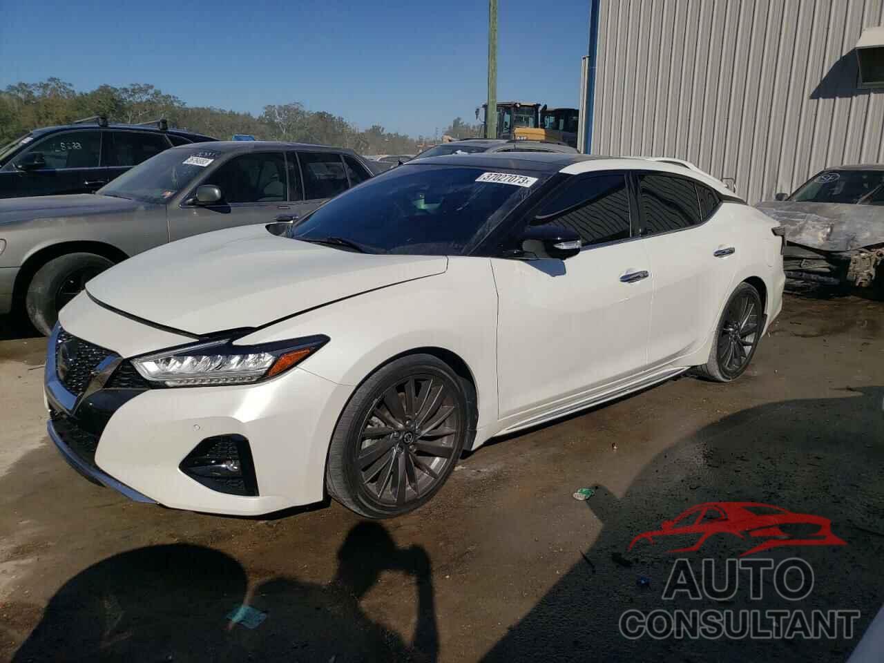 NISSAN MAXIMA 2019 - 1N4AA6AV2KC378181