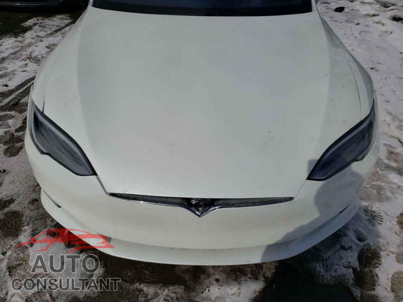TESLA MODEL S 2019 - 5YJSA1E20KF339769