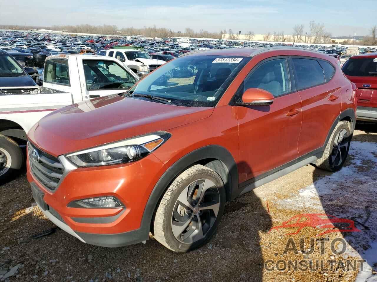 HYUNDAI TUCSON 2017 - KM8J33A26HU412999