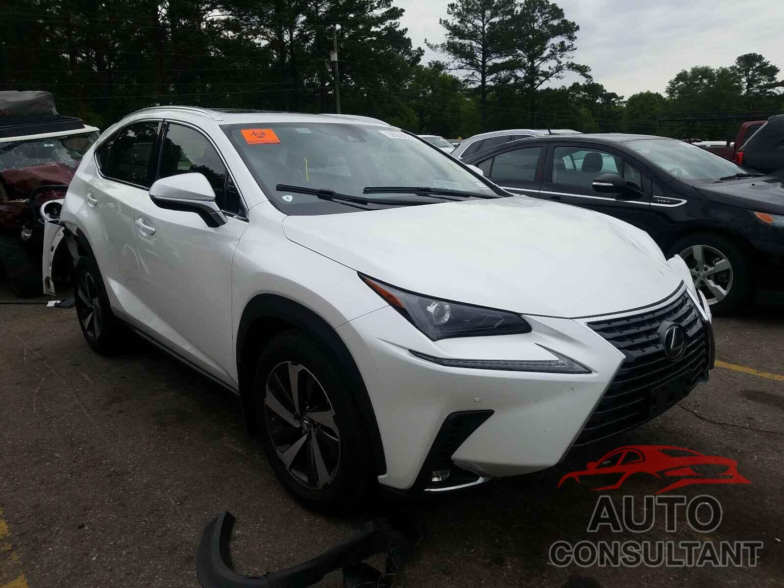 LEXUS NX 2021 - JTJGARBZ2M5024009