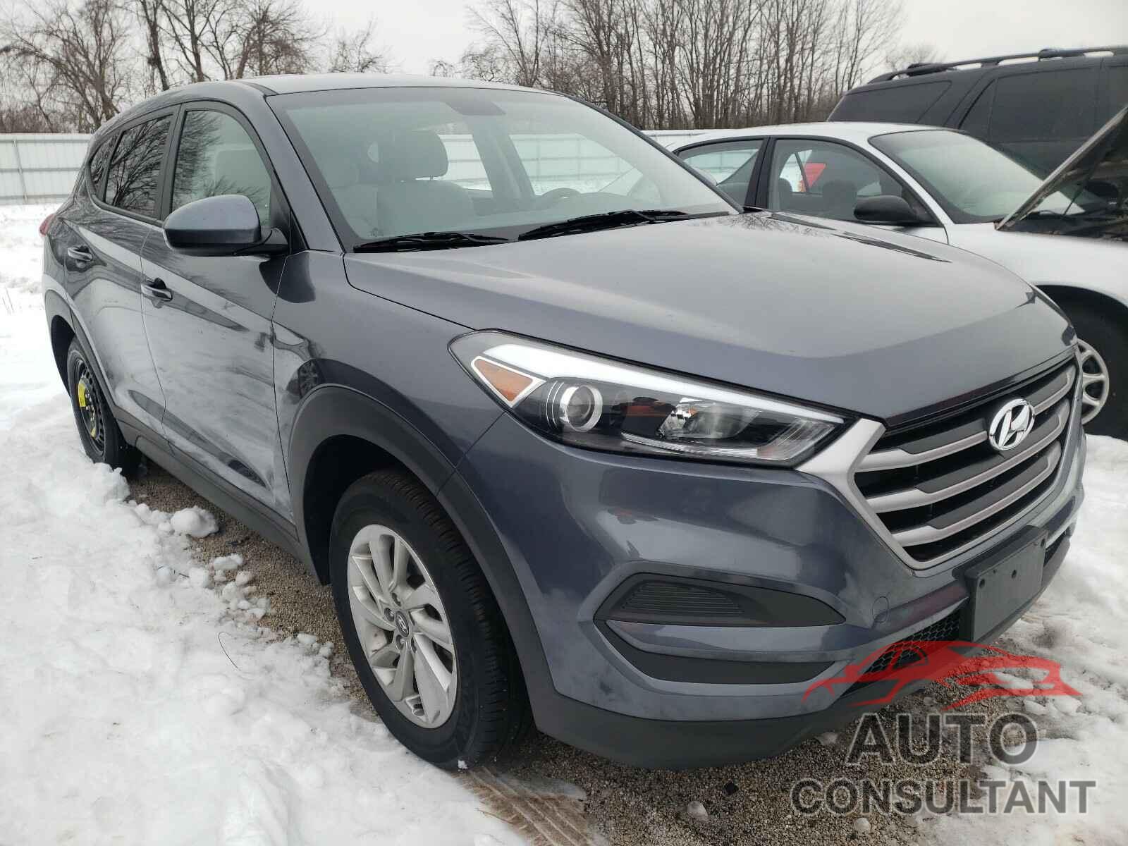 HYUNDAI TUCSON 2018 - KM8J2CA43JU741525