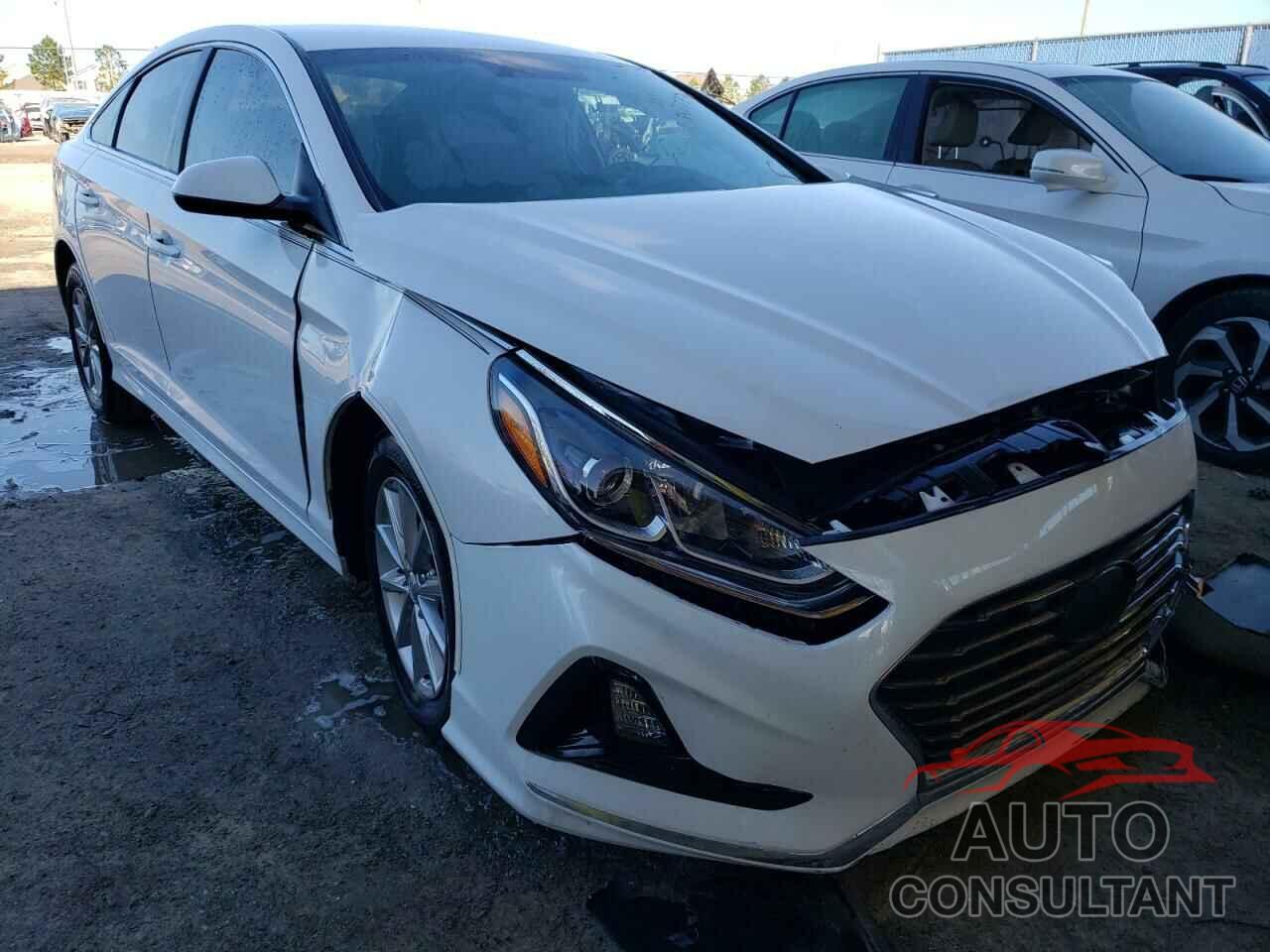 HYUNDAI SONATA 2019 - 5NPE24AF2KH731920