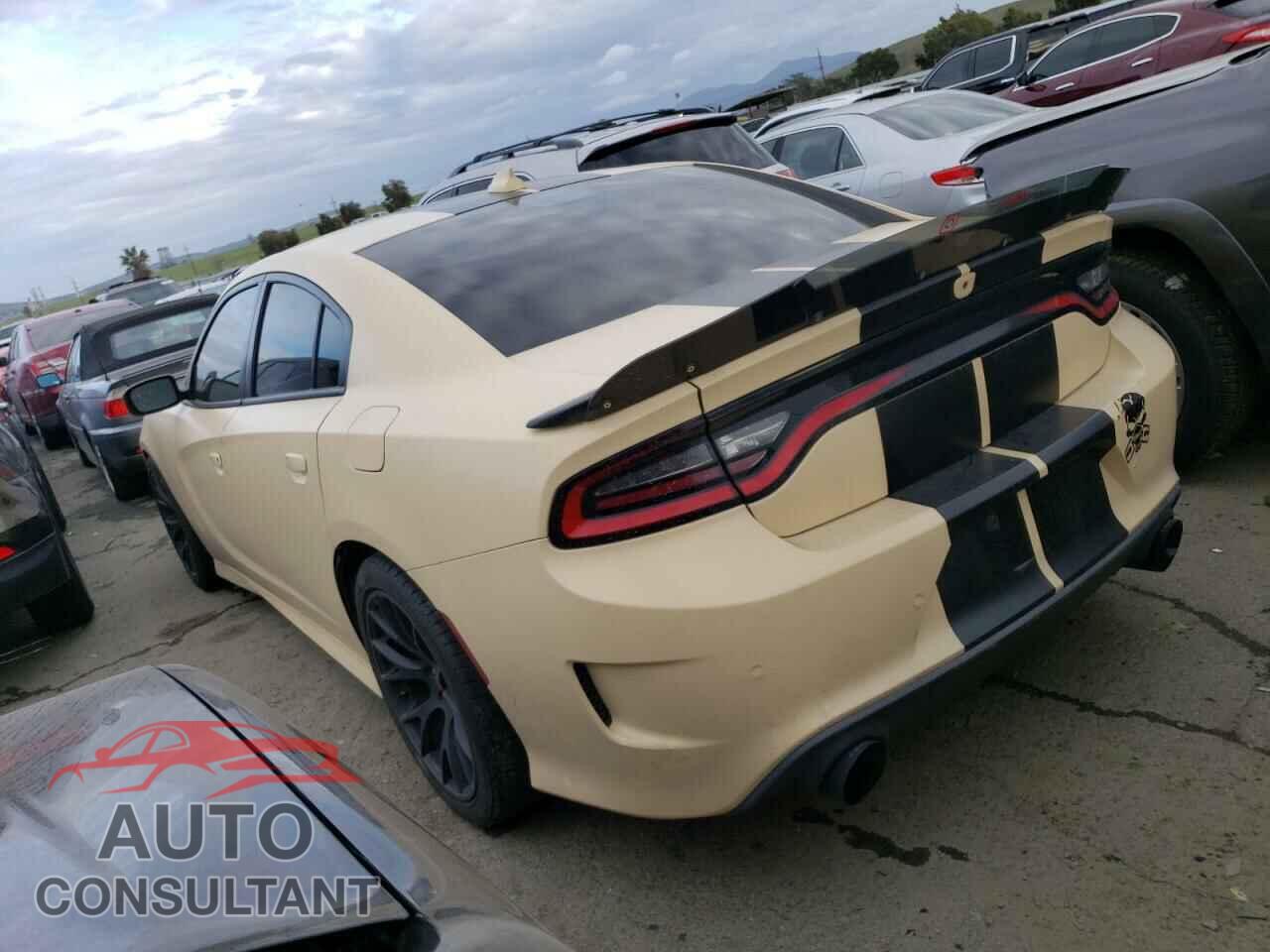DODGE CHARGER 2019 - 2C3CDXGJ3KH546769