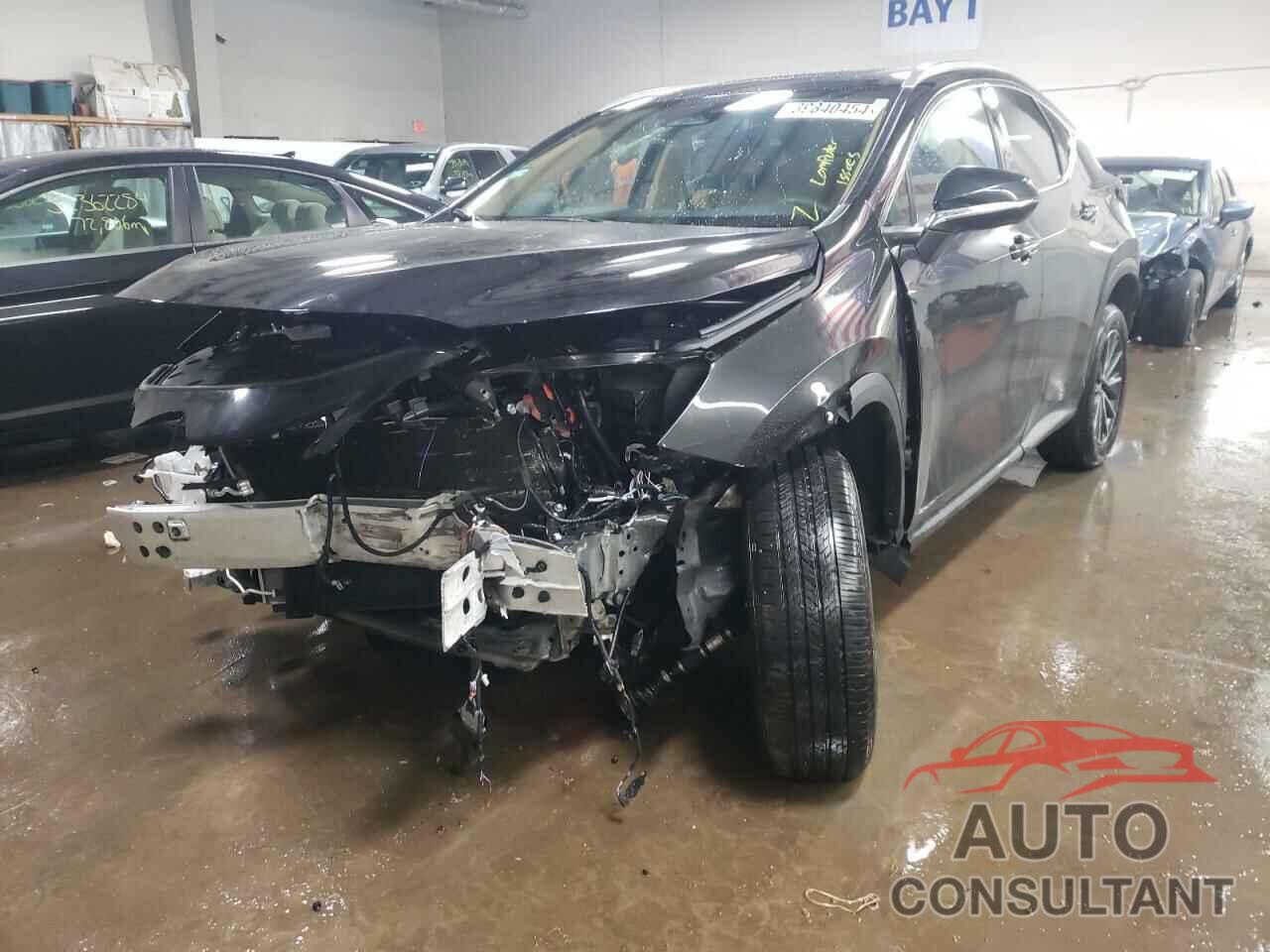 LEXUS NX 350 PRE 2024 - 2T2GGCEZ3RC047461