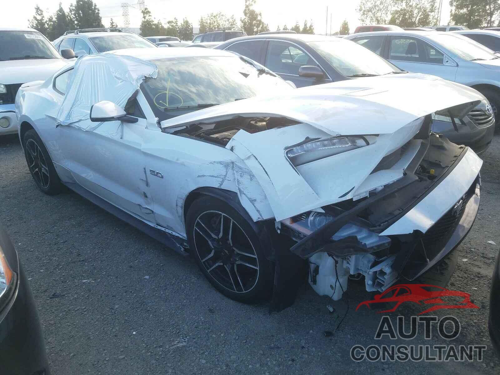 FORD MUSTANG 2019 - 1FA6P8CF8K5151927