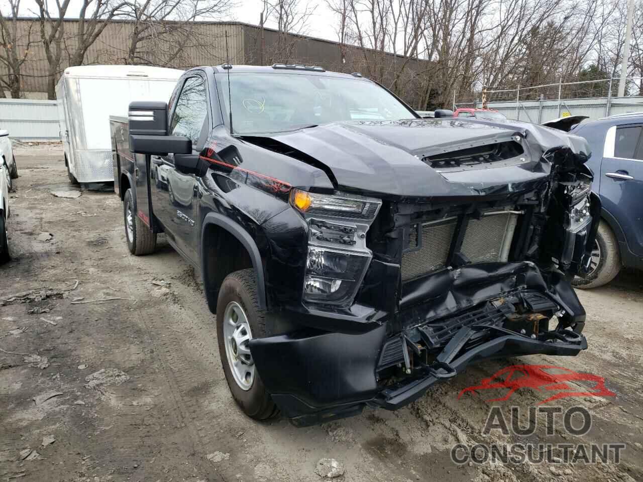 CHEVROLET SILVERADO 2020 - 1GC0YLE76LF242745