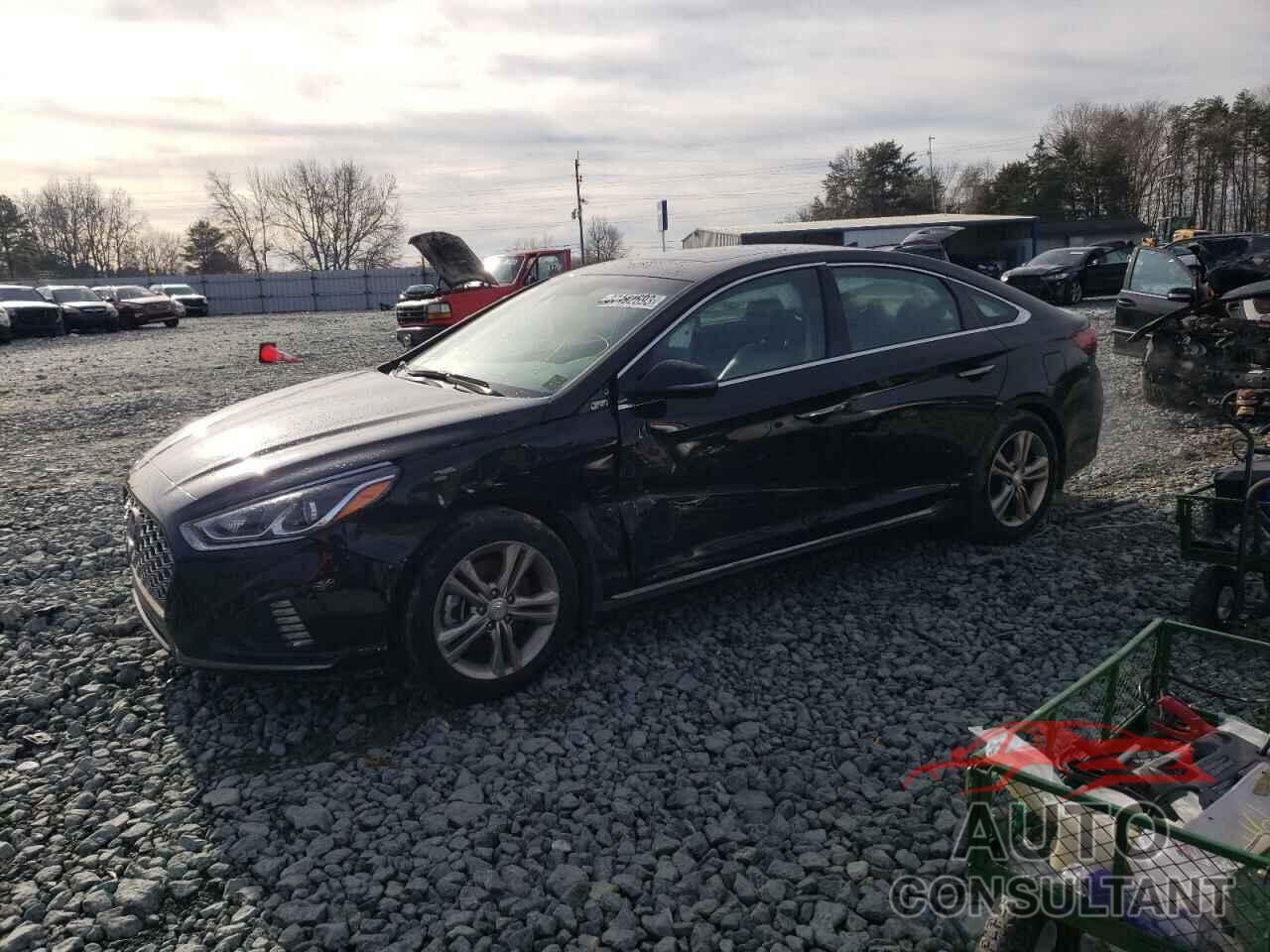 HYUNDAI SONATA 2019 - 5NPE34AF8KH763168