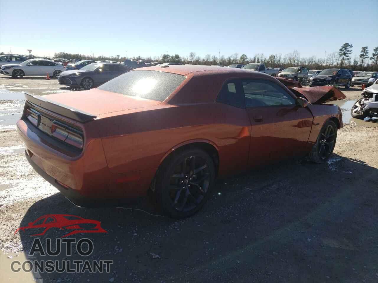 DODGE CHALLENGER 2023 - 2C3CDZBT4PH617716