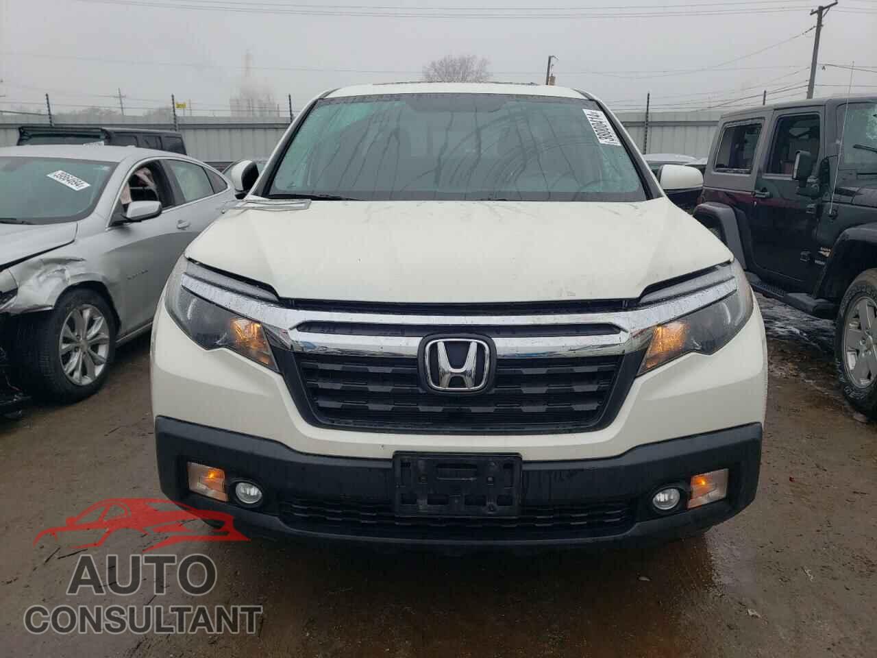 HONDA RIDGELINE 2019 - 5FPYK3F54KB026016