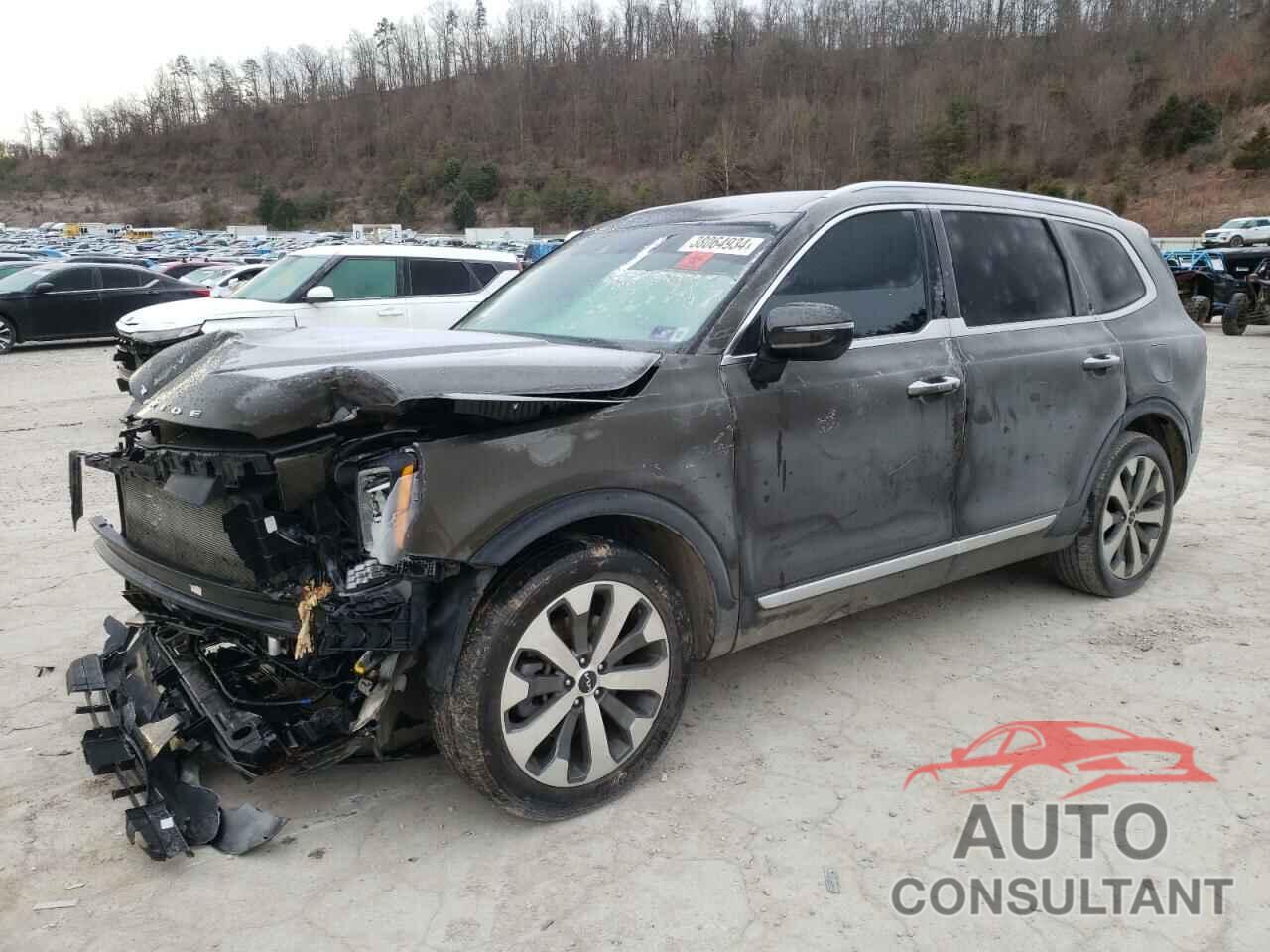 KIA TELLURIDE 2022 - 5XYP6DHC7NG316354