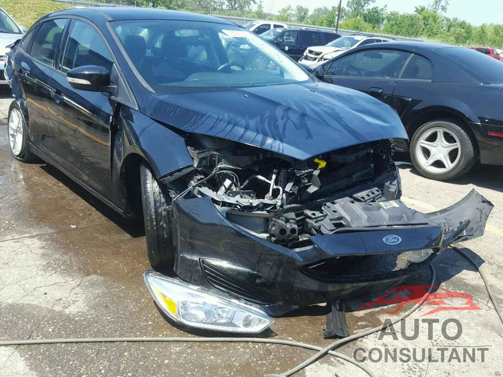 FORD FOCUS 2016 - 1FADP3F29GL244445