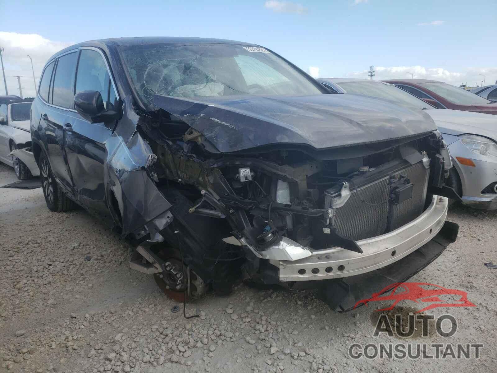 HONDA PILOT 2019 - 5FNYF5H56KB031384