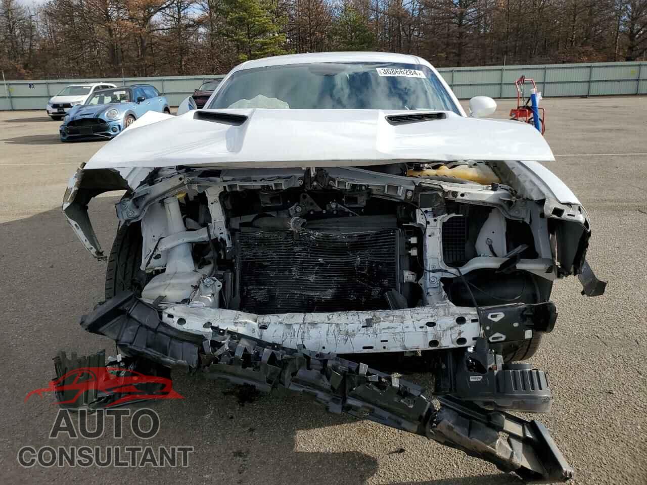 DODGE CHALLENGER 2016 - 2C3CDZAG4GH289489