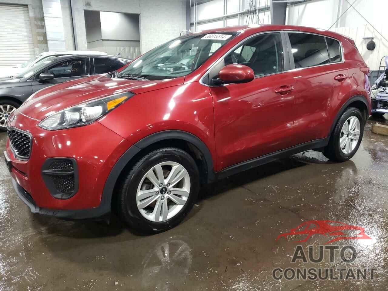 KIA SPORTAGE 2017 - KNDPM3AC9H7205297