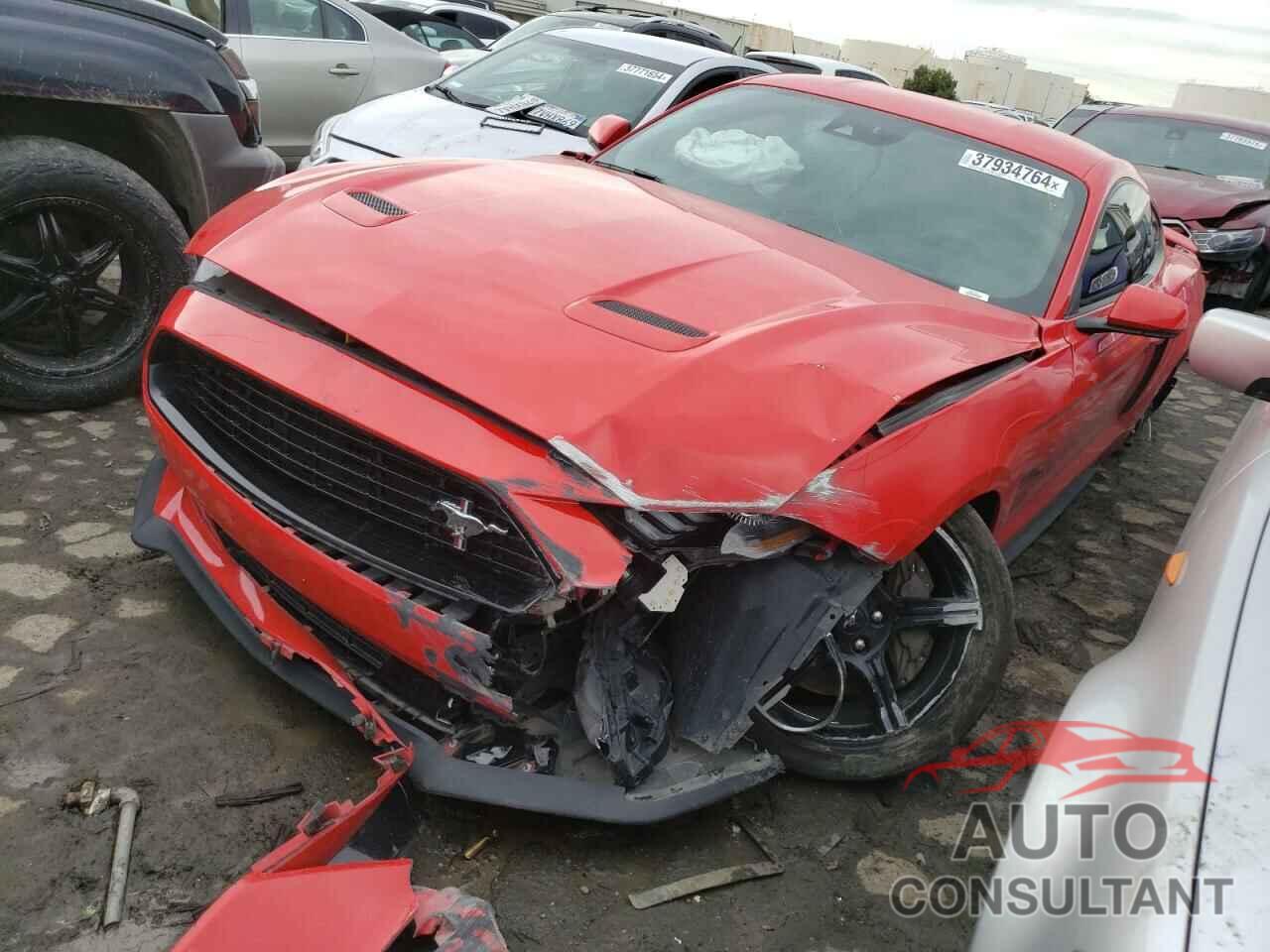 FORD MUSTANG 2019 - 1FA6P8CF3K5167663