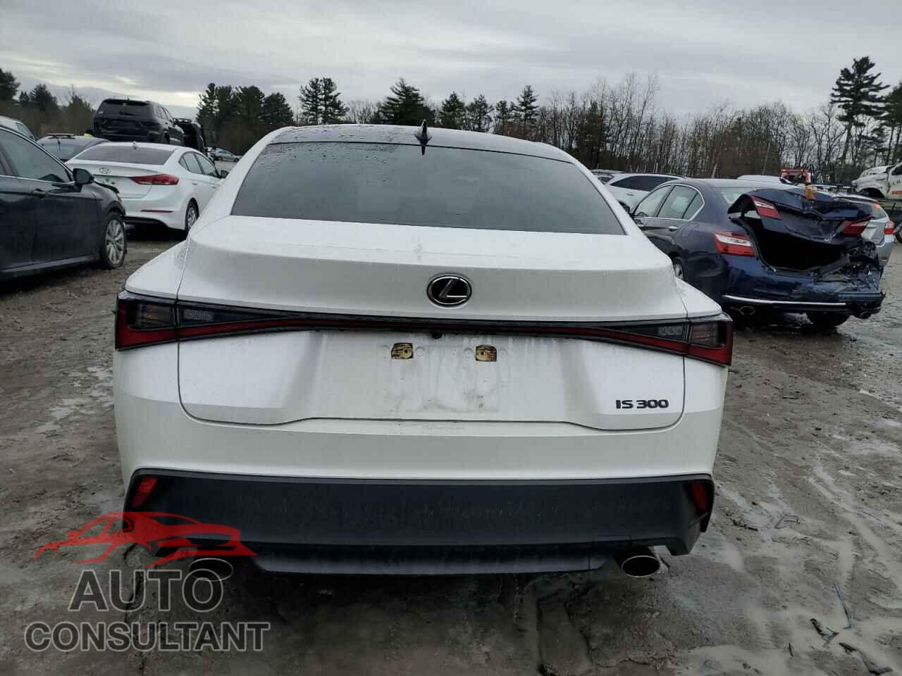 LEXUS IS 2021 - JTHAA1D21M5113773
