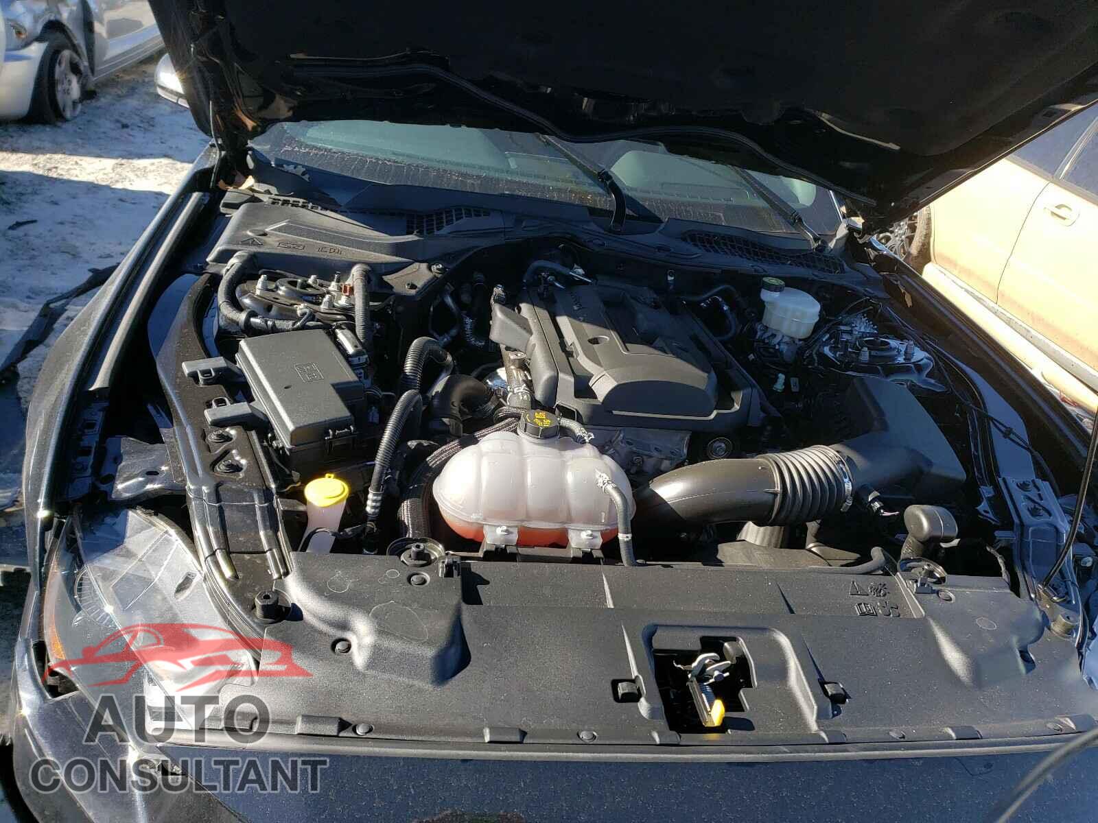 FORD MUSTANG 2019 - 1FA6P8TH1K5199559
