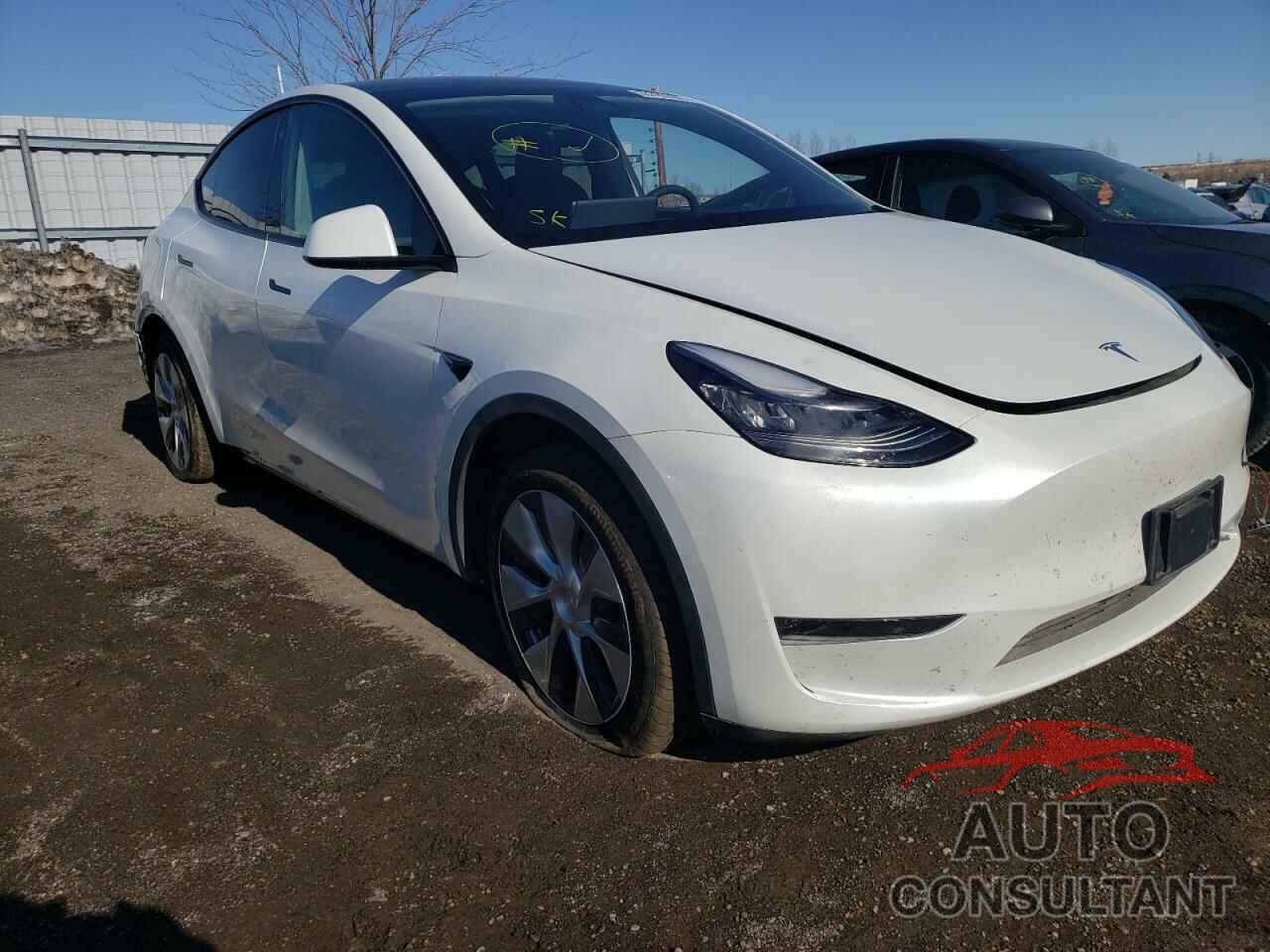 TESLA MODEL Y 2021 - 5YJYGDEE7MF093455