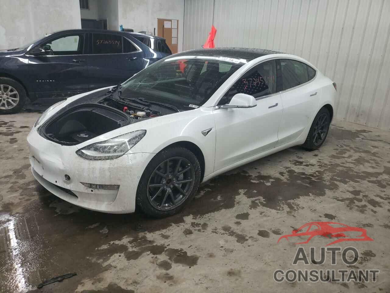 TESLA MODEL 3 2019 - 5YJ3E1EB4KF433436