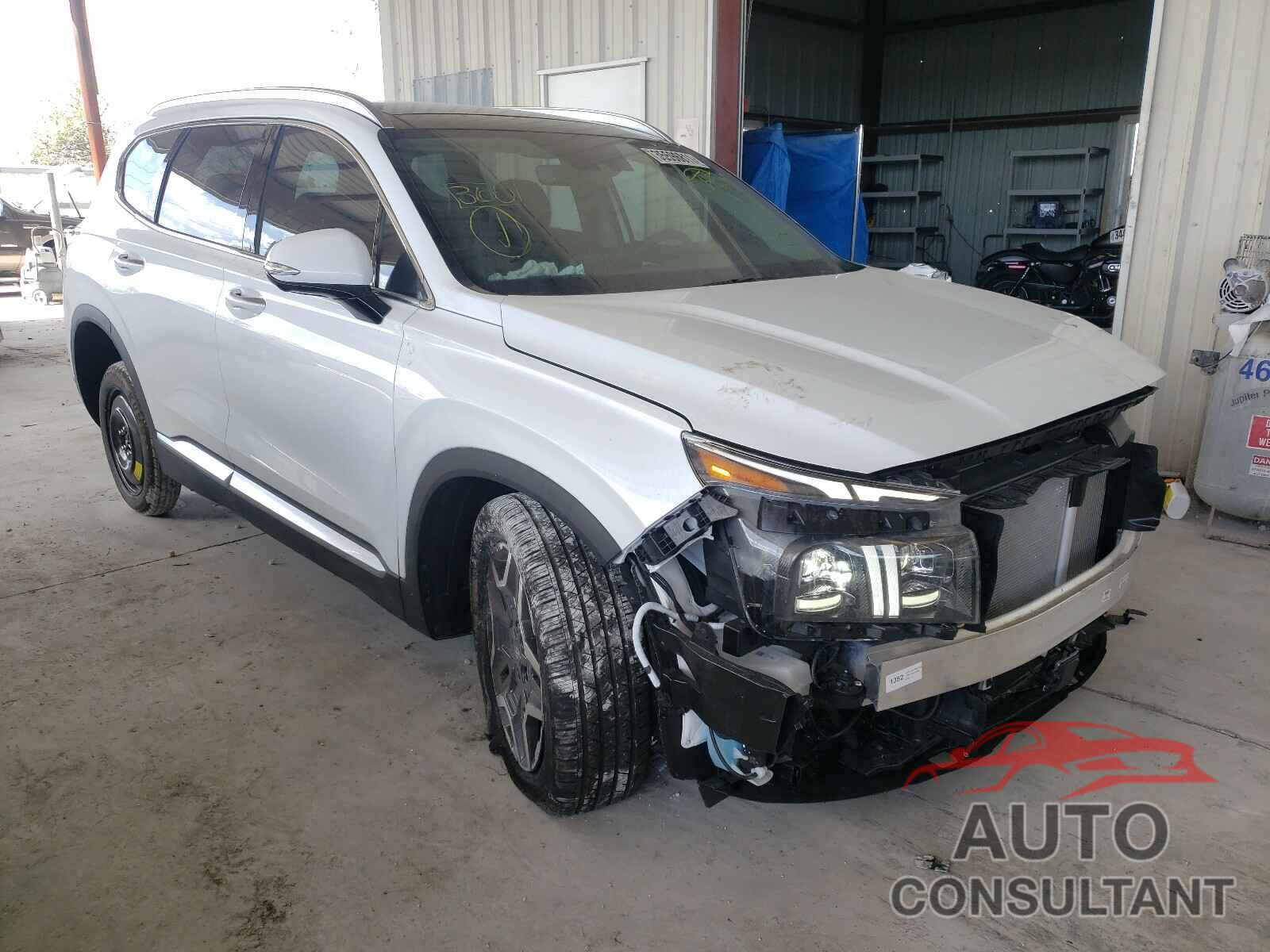 HYUNDAI SANTA FE 2021 - 5NMS44AL3MH312395