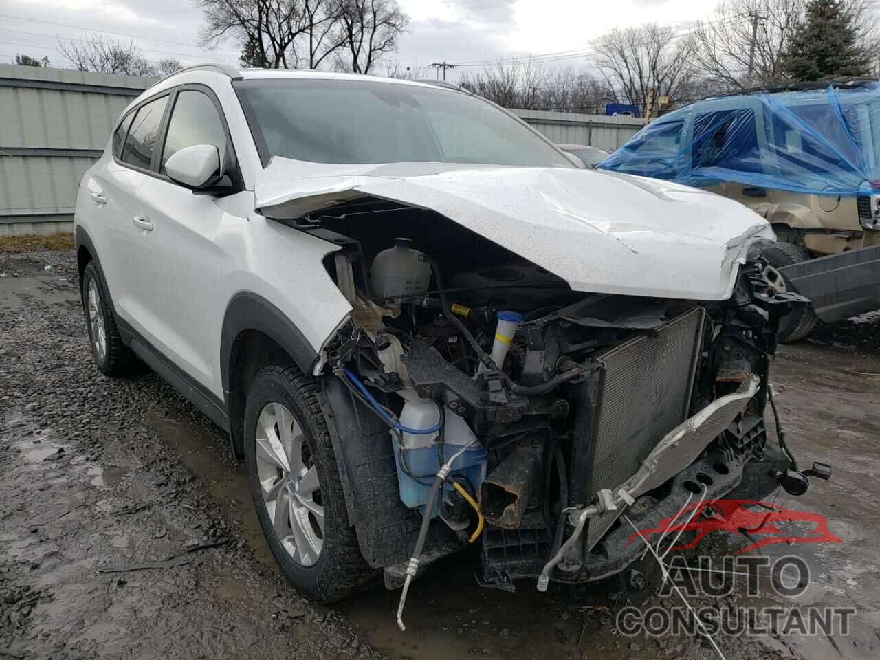 HYUNDAI TUCSON 2019 - KM8J3CA46KU928398