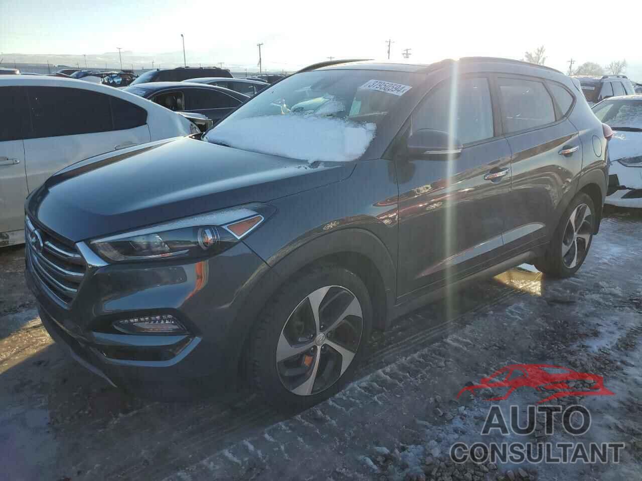 HYUNDAI TUCSON 2016 - KM8J3CA23GU193675