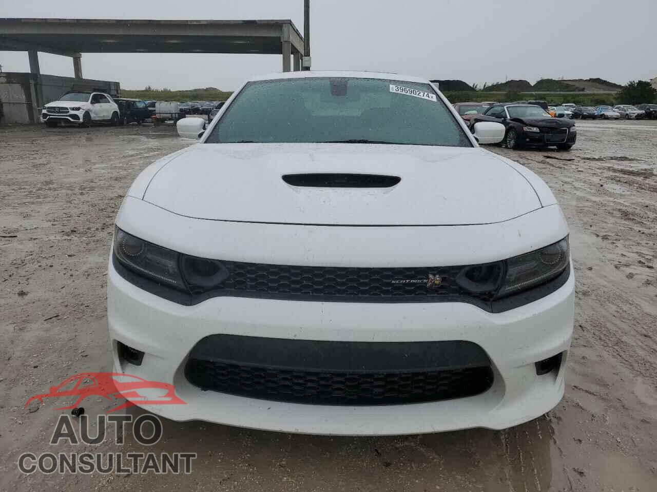 DODGE CHARGER 2019 - 2C3CDXGJ6KH609167