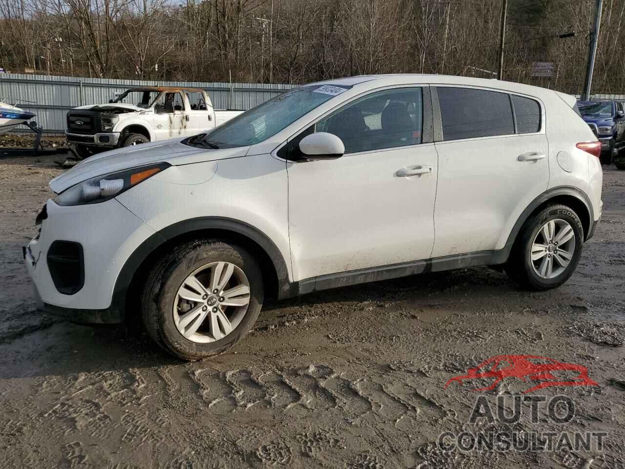 KIA SPORTAGE 2017 - KNDPM3AC3H7060774