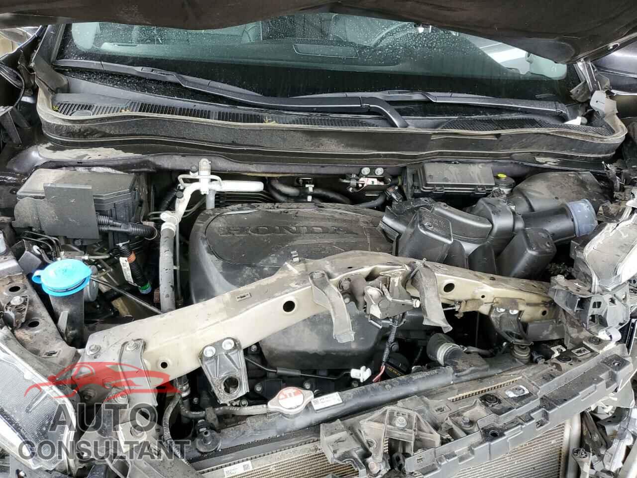 HONDA PILOT 2021 - 5FNYF6H01MB014067