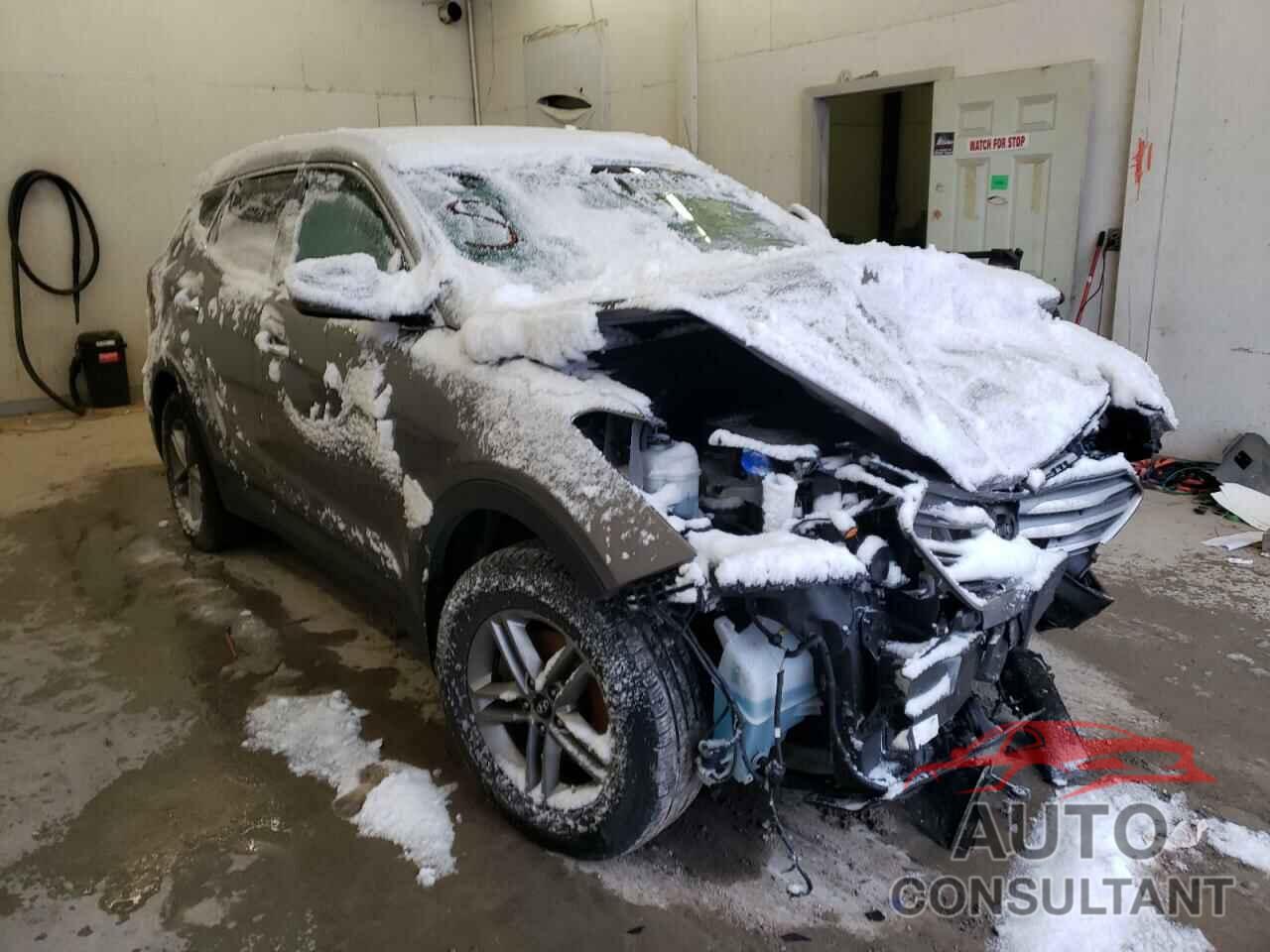 HYUNDAI SANTA FE 2017 - 5NMZUDLB9HH024583