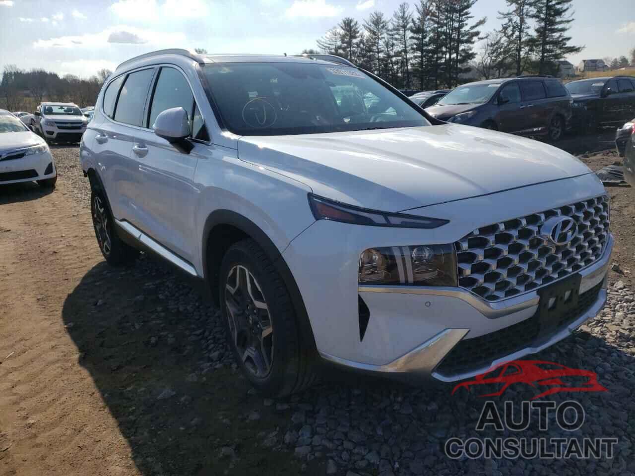 HYUNDAI SANTA FE 2021 - 5NMS44AL6MH319602