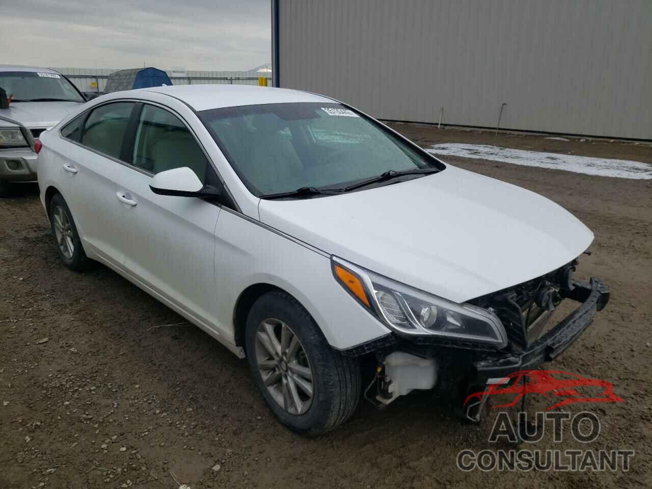 HYUNDAI SONATA 2017 - 5NPE24AF9HH577795