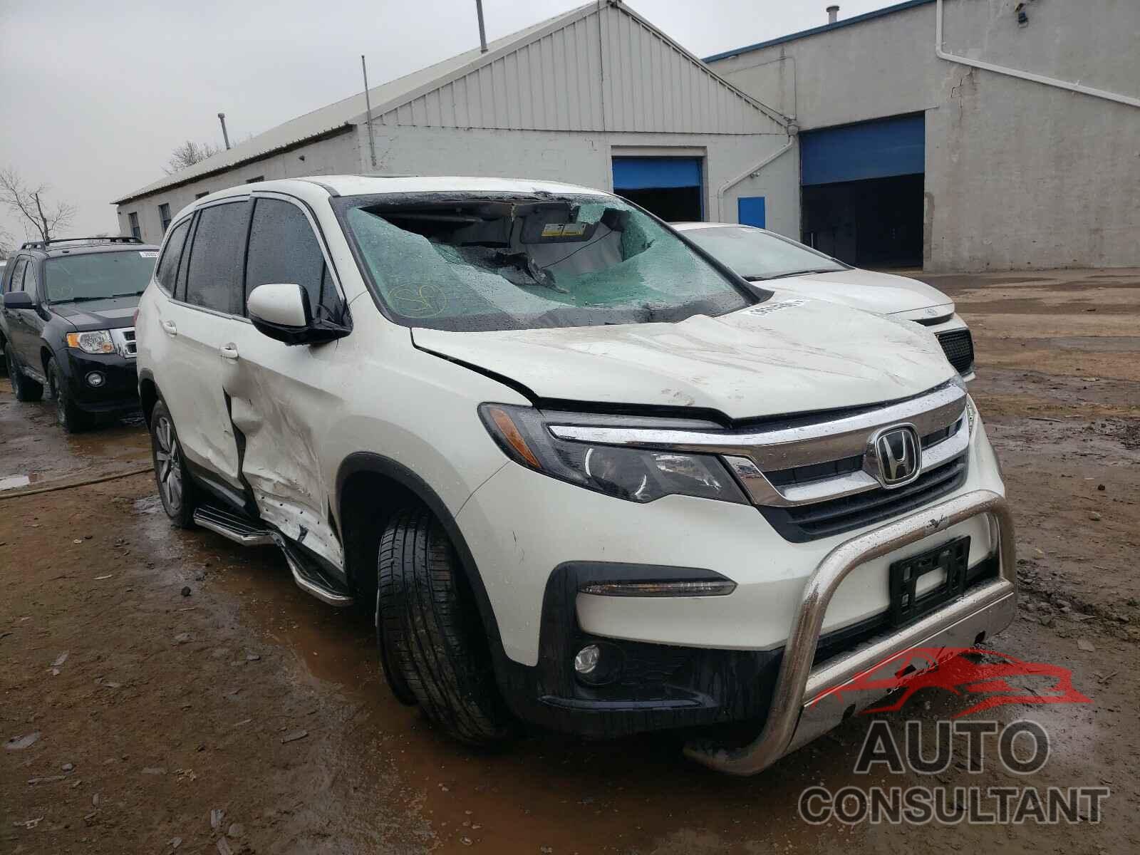 HONDA PILOT 2019 - 5FNYF6H50KB006972
