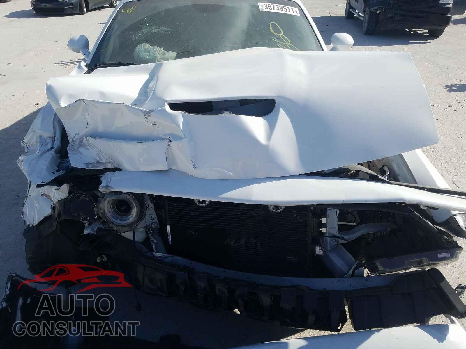 DODGE CHALLENGER 2019 - 2C3CDZJG9KH620737