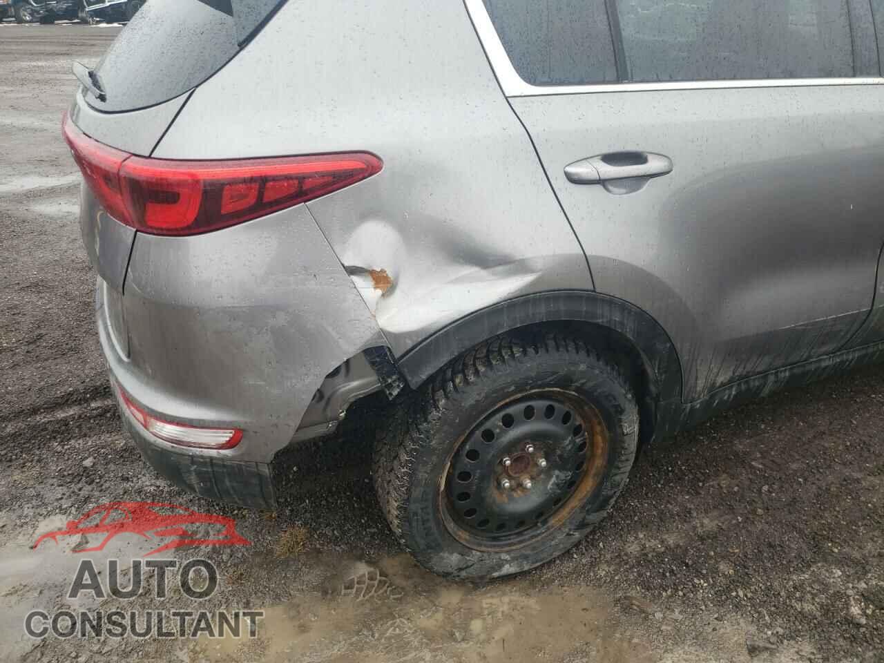KIA SPORTAGE 2017 - KNDPM3AC8H7149580