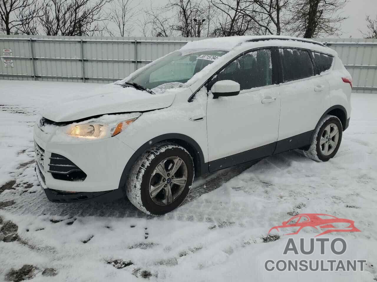 FORD ESCAPE 2016 - 1FMCU9GX8GUC54031