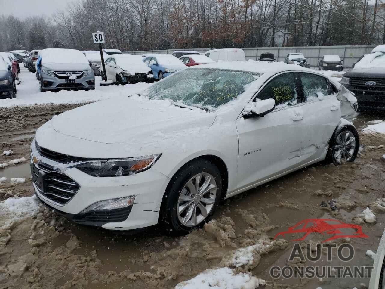 CHEVROLET MALIBU 2022 - 1G1ZD5STXNF178107