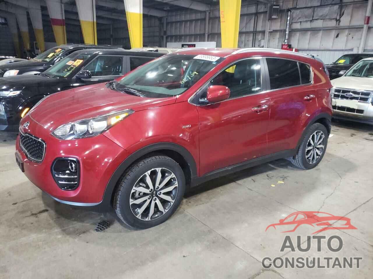 KIA SPORTAGE 2017 - KNDPNCAC8H7134459