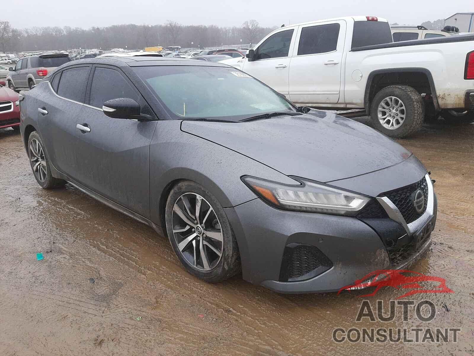 NISSAN MAXIMA 2019 - 1N4AA6AV8KC368089