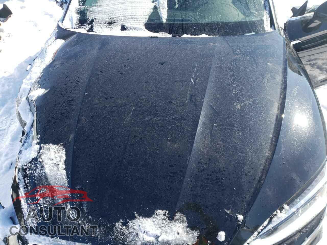 AUDI A5 2019 - WAUENCF50KA015975