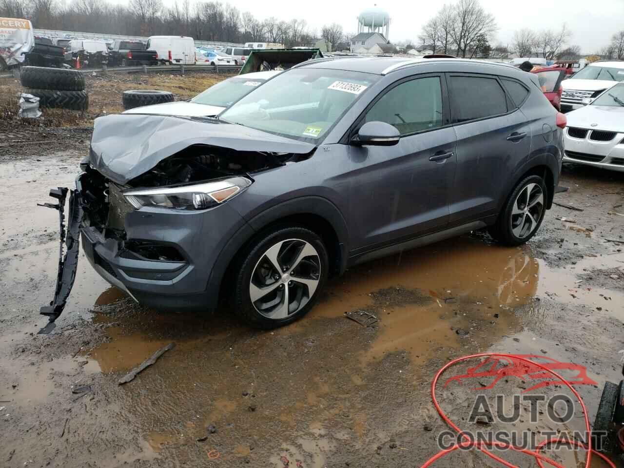 HYUNDAI TUCSON 2016 - KM8J3CA25GU069486
