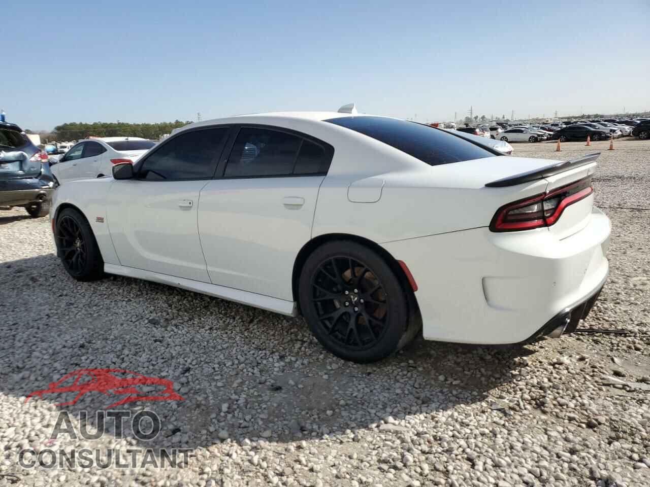 DODGE CHARGER 2019 - 2C3CDXGJ8KH622096
