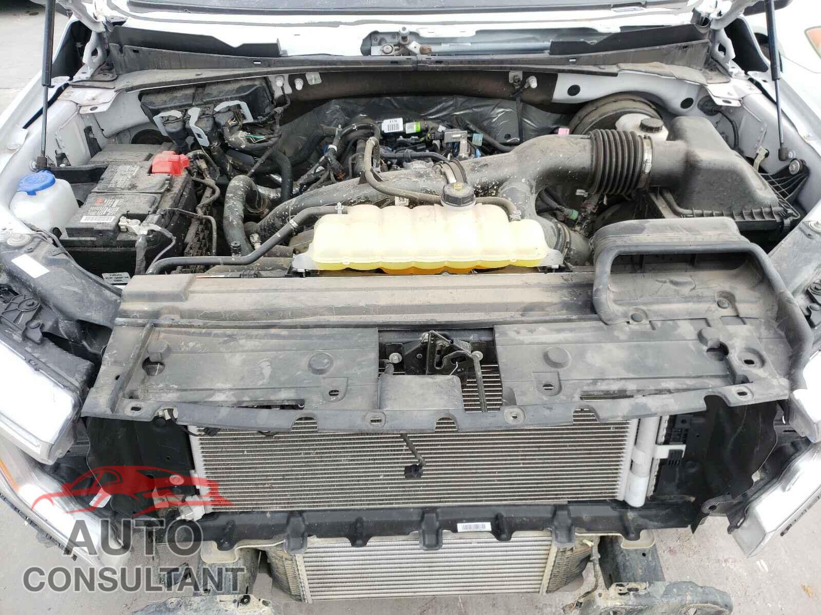FORD F150 2020 - 1FTEW1CP1LFA38390