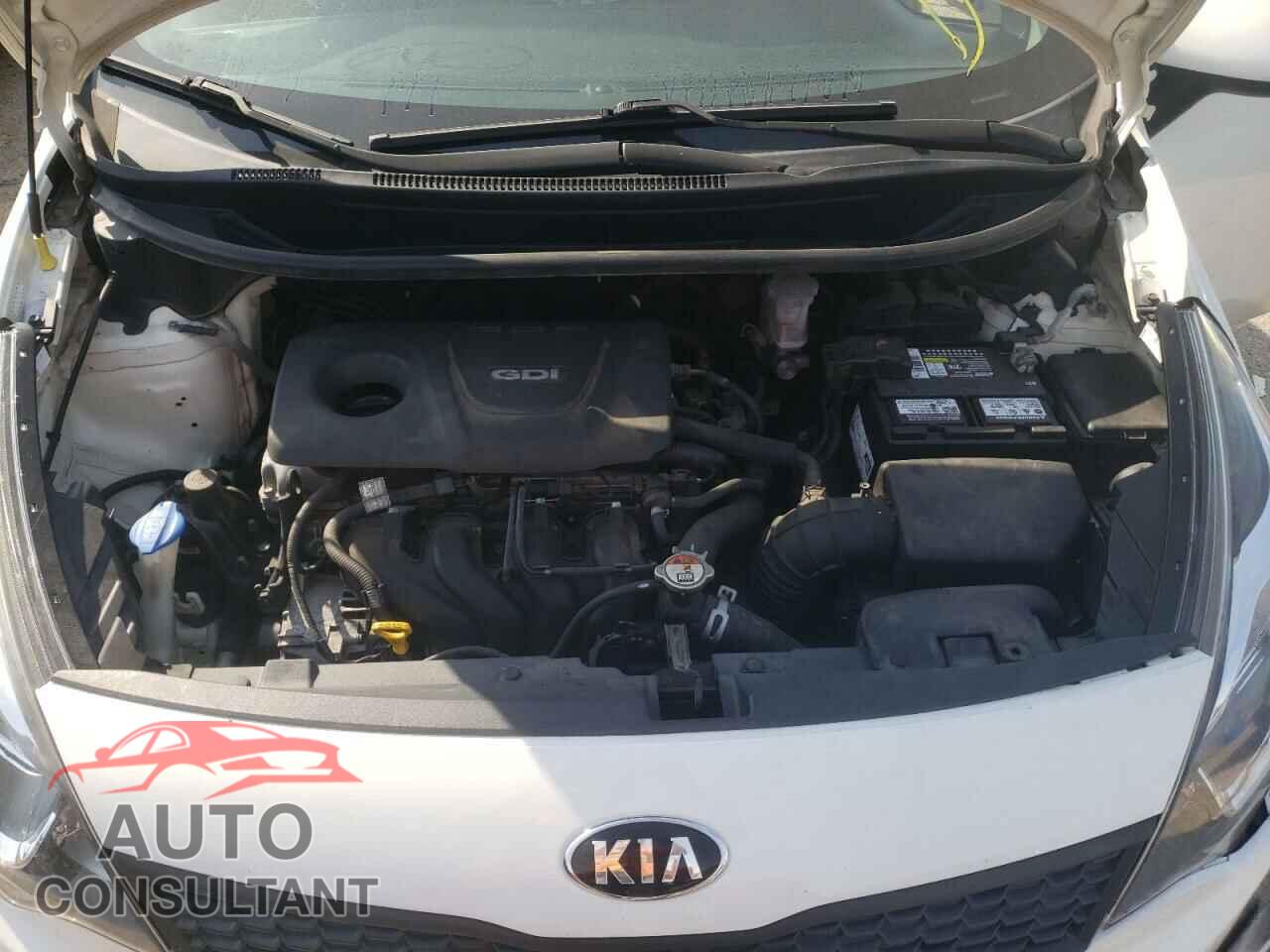KIA RIO 2017 - KNADM4A35H6006372