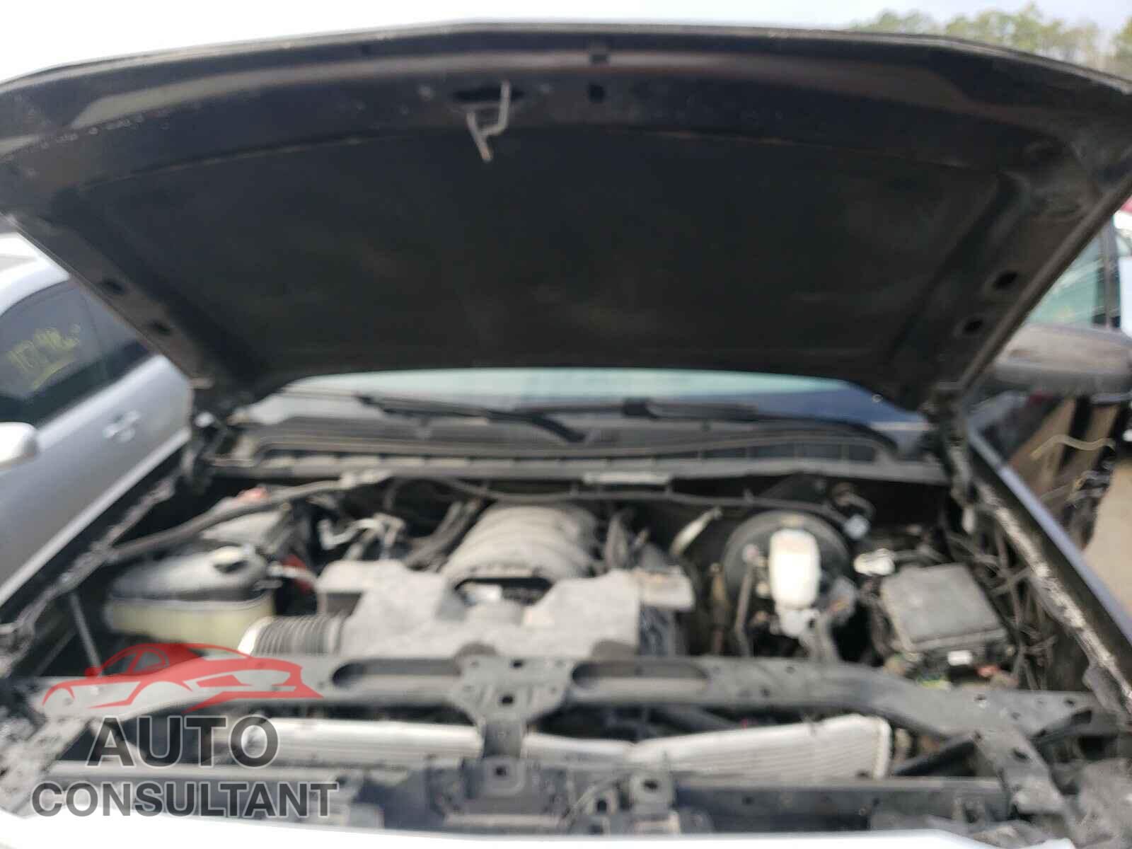 CHEVROLET SILVERADO 2019 - 2GCVKPEC8K1171601