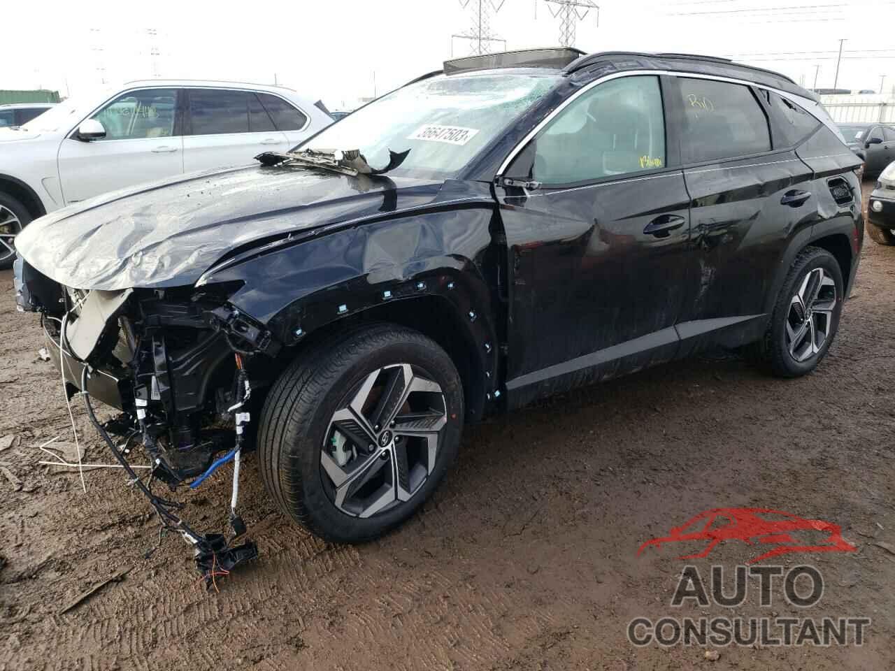 HYUNDAI TUCSON 2023 - 5NMJECAEXPH195309