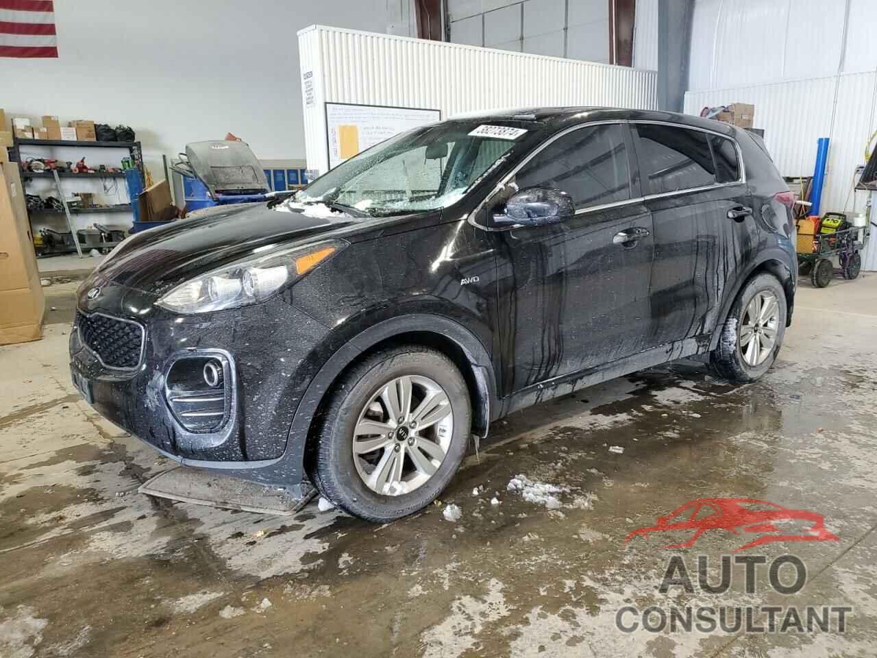 KIA SPORTAGE 2017 - KNDPMCACXH7116998