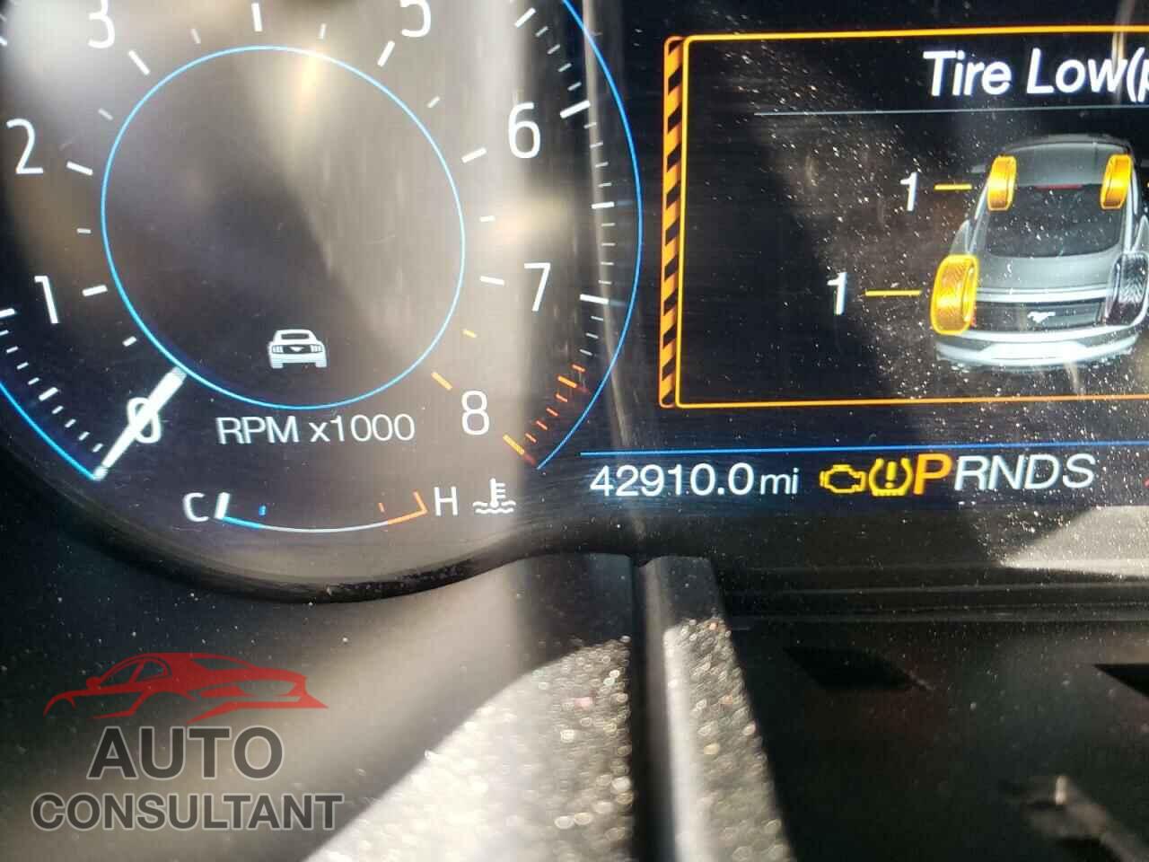 FORD MUSTANG 2019 - 1FA6P8CF4K5192734